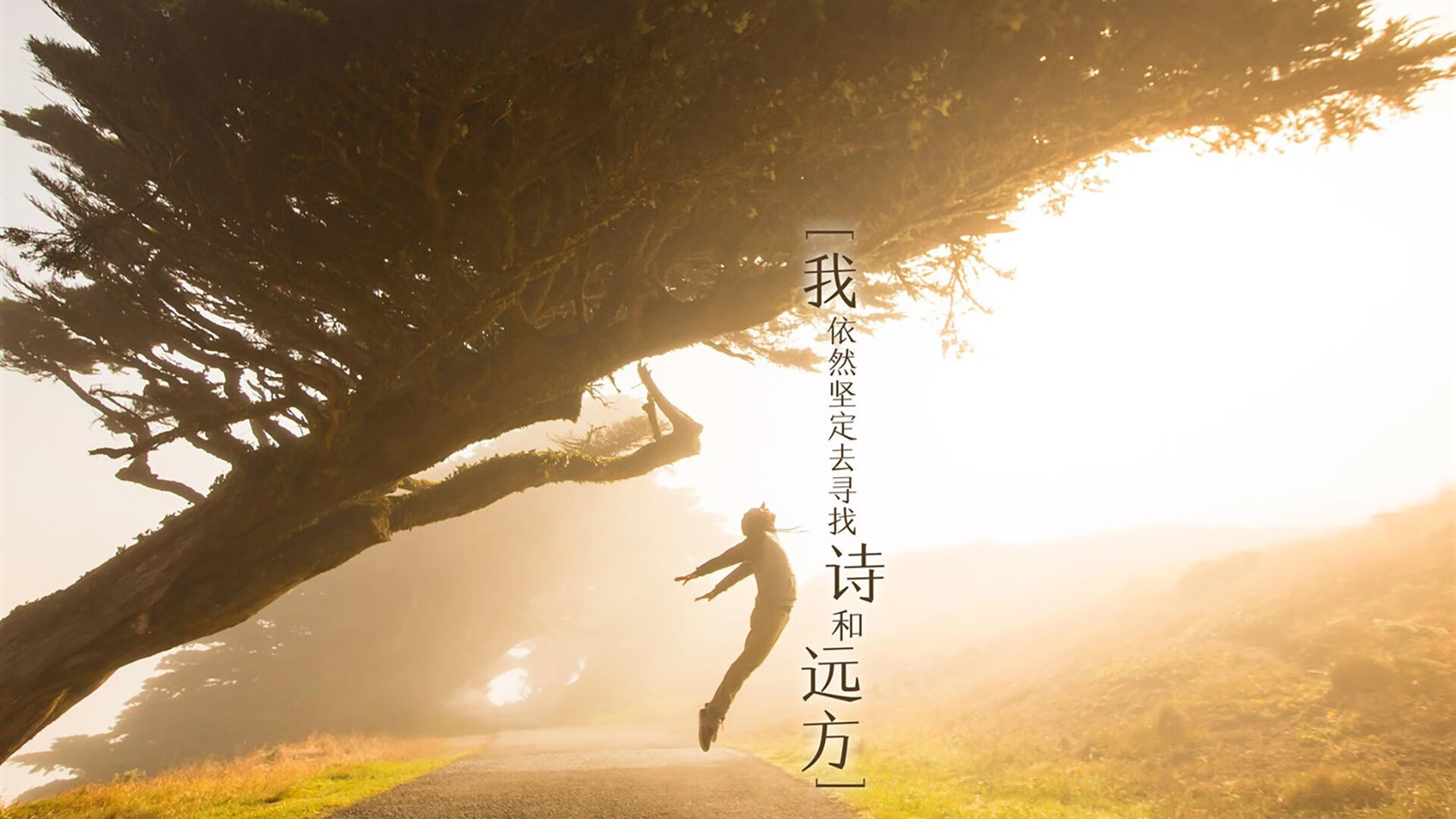CBA全明星阵容揭晓周琦王哲林领衔内线，cba全明星队员名单