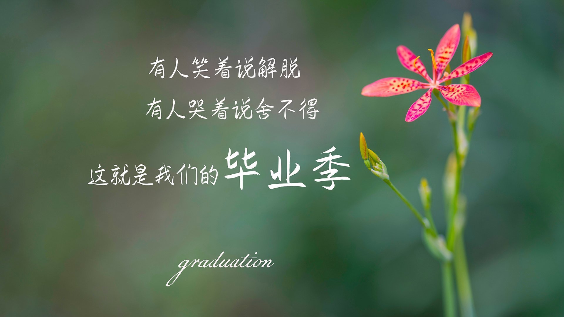 中国篮球运动赛事安全保障体系，中国篮球竞赛制度改革