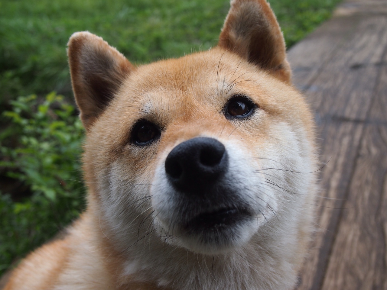 体育新闻中心推动体育社交平台正向话题引导工程,体育新闻首页