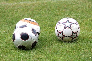 九游官网pc-基层足球发展资金紧张，基层足球发展资金紧张的原因