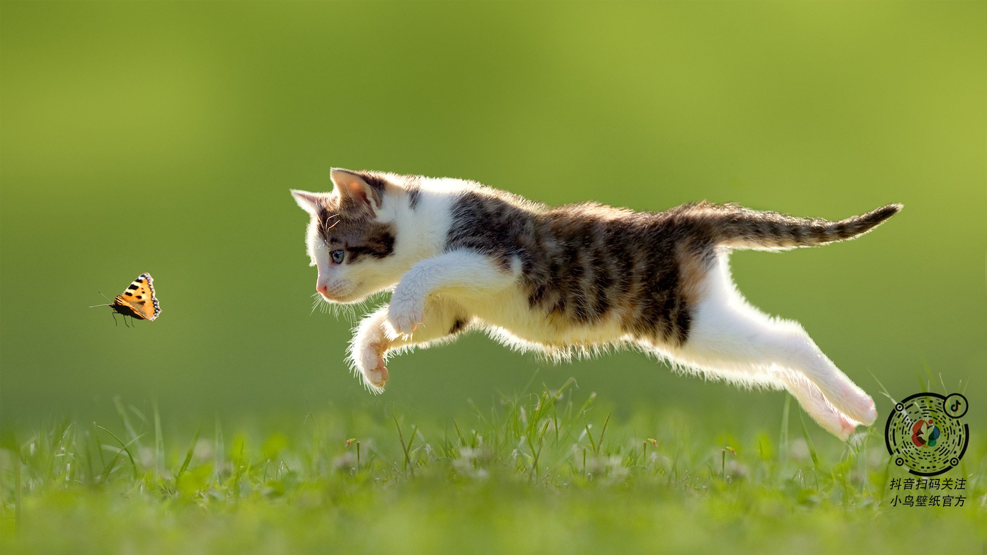 快节奏下的传球优先级判断方法有哪些，快速传球技巧视频