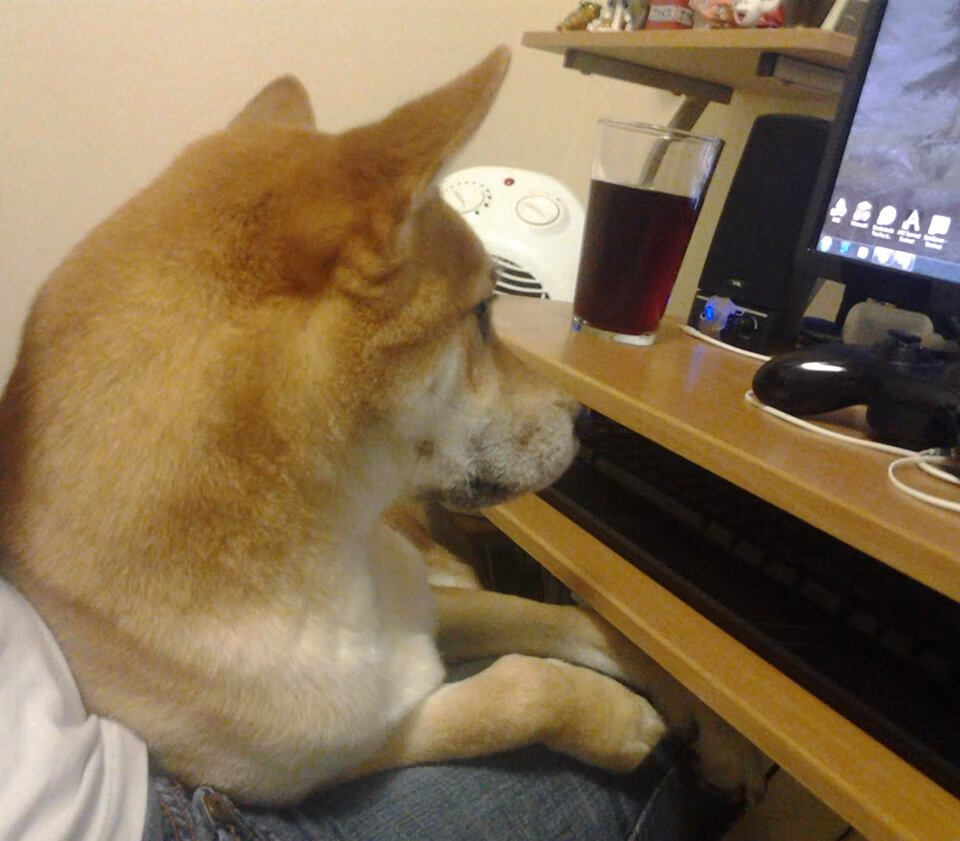 搏击项目加入青少年多段位评级制度,青少年搏击比赛报名