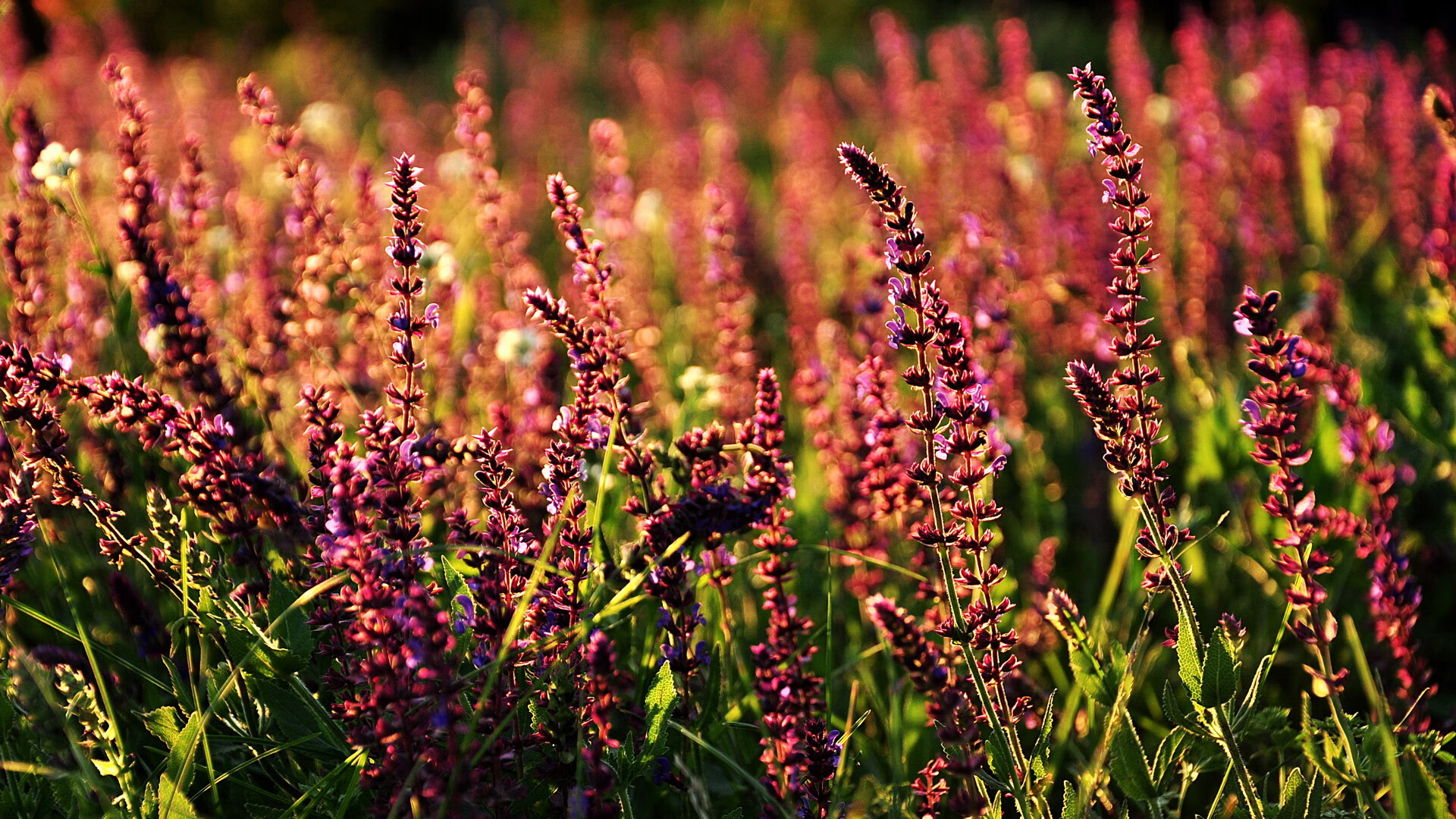 世界杯史诗级比赛:精彩神奇,永载历史!,世界杯记录大全