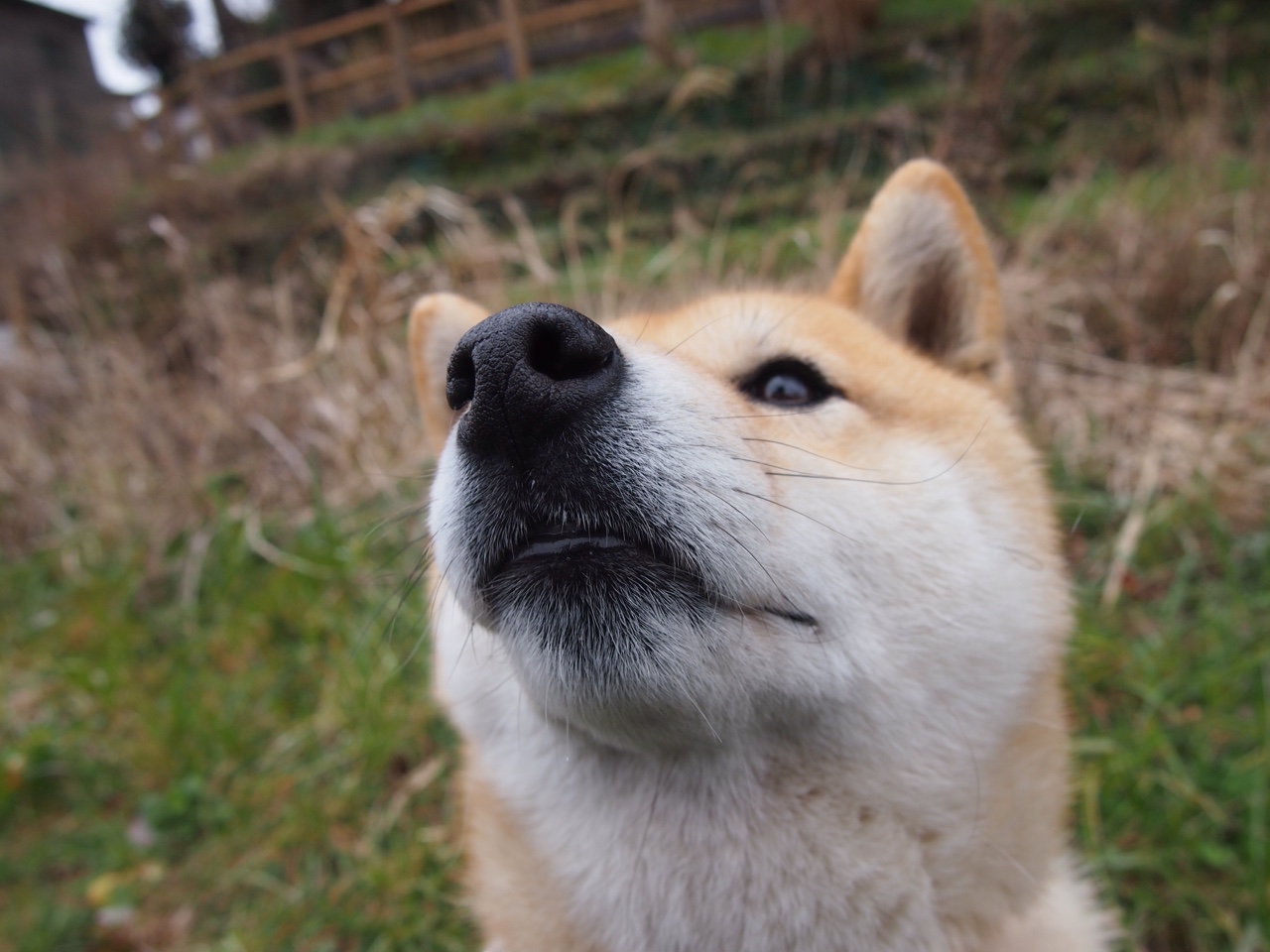 九游jiuyou-快船封闭训练全队围观战术模拟引热议，快船队q战术