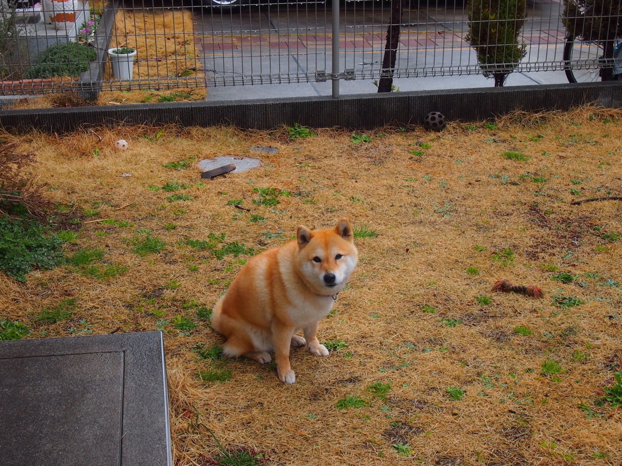 九游娱乐官网 (jiuyou)-摩洛哥女篮在非洲锦标赛中夺冠，体育发展迈入新阶段，摩洛哥 非洲