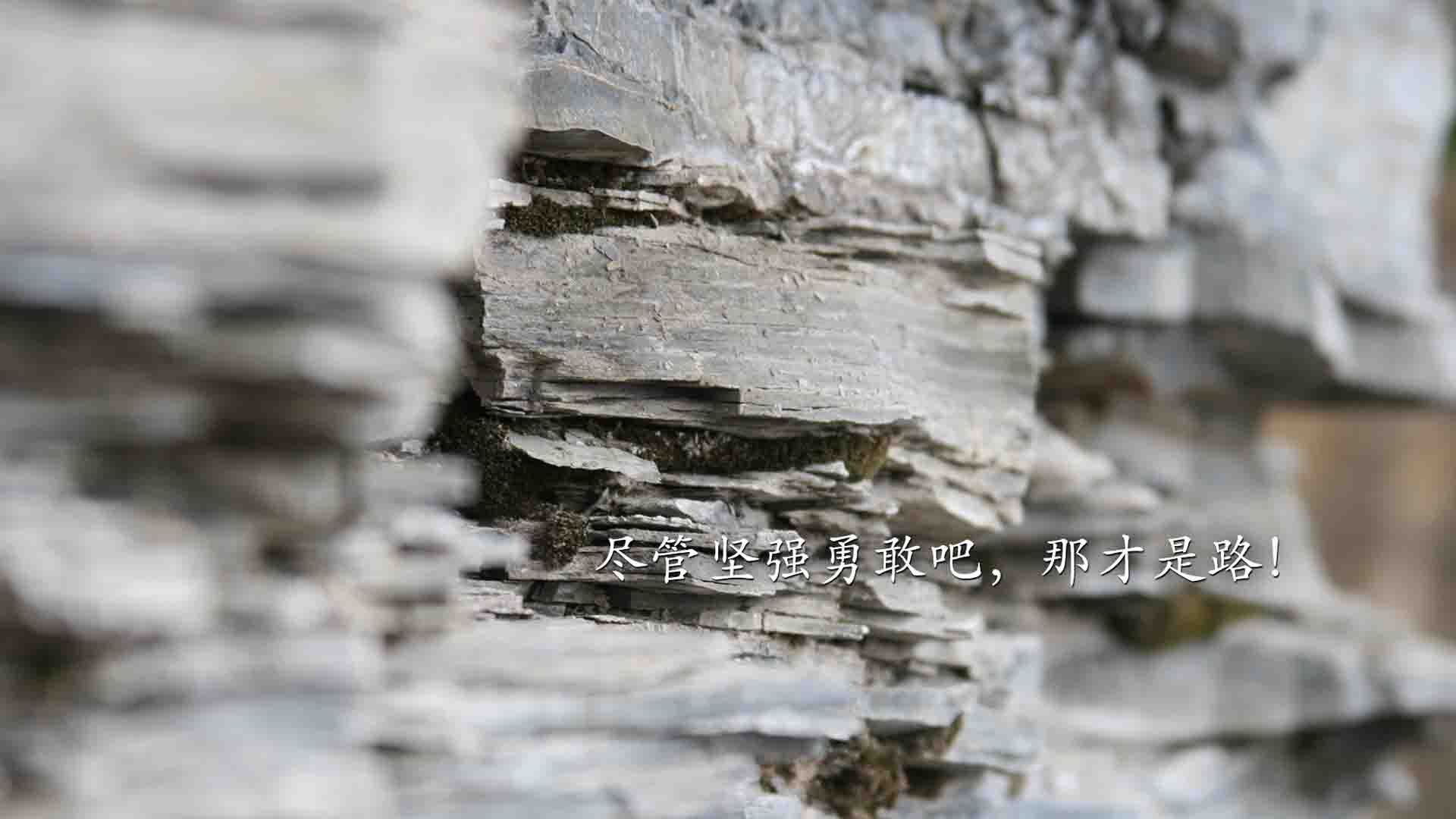 曼城大胜利物浦积分反超登顶，曼城1_4利物浦