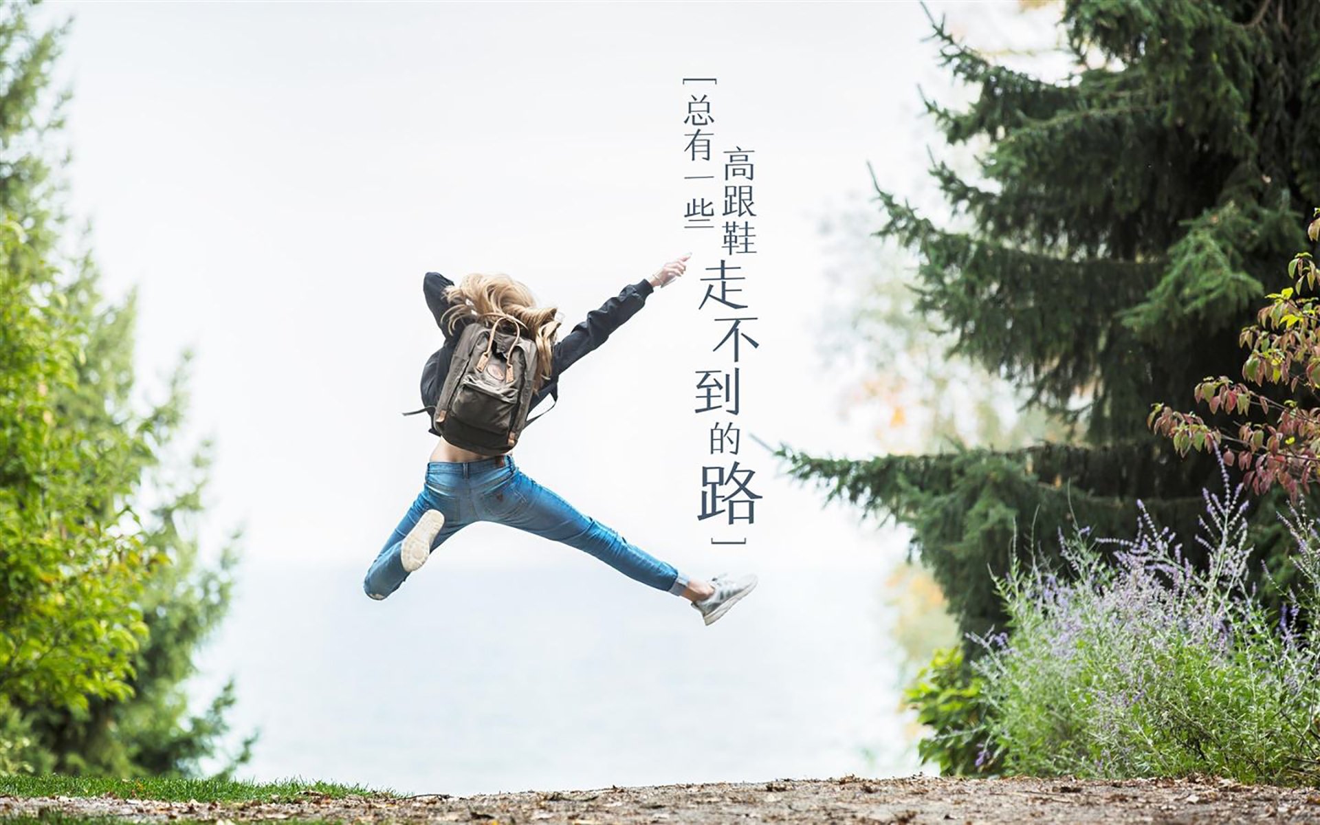 美洲杯比赛的场馆环境保护,美洲杯比赛场地在哪里