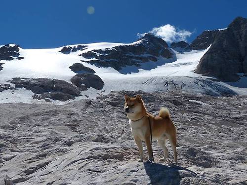 九游app下载中心-贾瓦迪：为非洲泳坛注入新活力，贾贾马迪